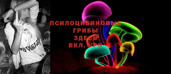 герыч Алексин
