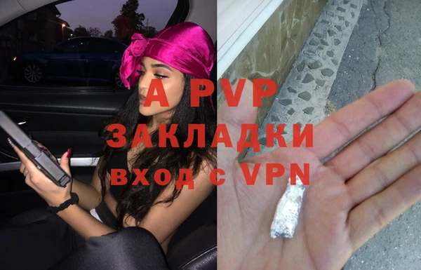гидропоника Алзамай
