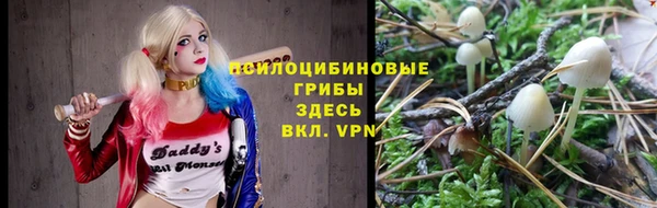 герыч Алексин