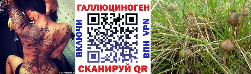 Галлюциногенные грибы мухоморы Лагань